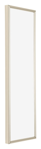 Annecy Plastic Photo Frame 20x60cm Champagne Front Oblique | Yourdecoration.com