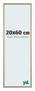 Annecy Plastic Photo Frame 20x60cm Champagne Front Size | Yourdecoration.com