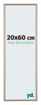 Annecy Plastic Photo Frame 20x60cm Champagne Front Size | Yourdecoration.com