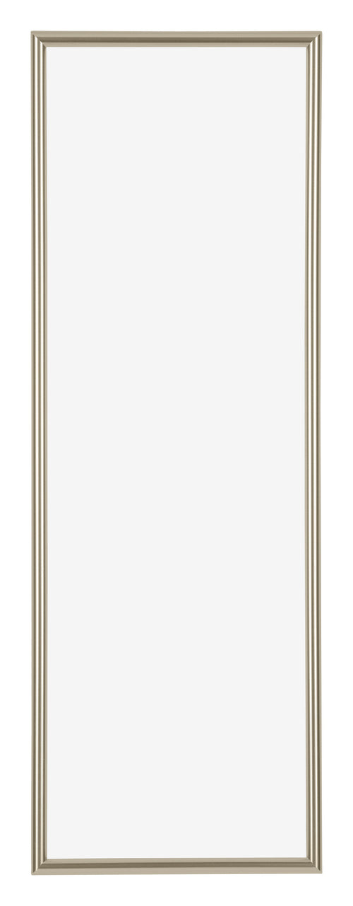 Annecy Plastic Photo Frame 20x60cm Champagne Front | Yourdecoration.com