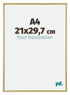 Annecy Plastic Photo Frame 21x29 7cm A4 Gold Front Size | Yourdecoration.com