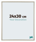 Annecy Plastic Photo Frame 24x30cm Champagne Front Size | Yourdecoration.com