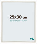 Annecy Plastic Photo Frame 25x30cm Champagne Front Size | Yourdecoration.com