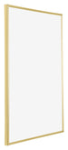 Annecy Plastic Photo Frame 25x35cm Gold Front Oblique | Yourdecoration.com