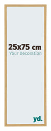Annecy Plastic Photo Frame 25x75cm Beech Light Front Size | Yourdecoration.com