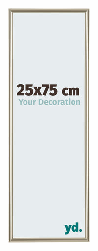 Annecy Plastic Photo Frame 25x75cm Champagne Front Size | Yourdecoration.com