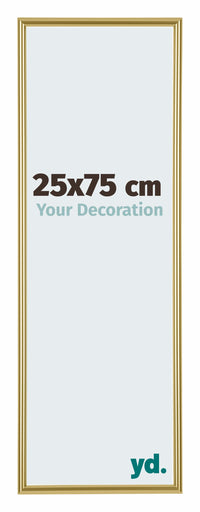 Annecy Plastic Photo Frame 25x75cm Gold Front Size | Yourdecoration.com