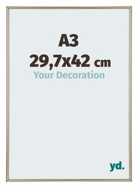 Annecy Plastic Photo Frame 29 7x42cm A3 Champagne Front Size | Yourdecoration.com