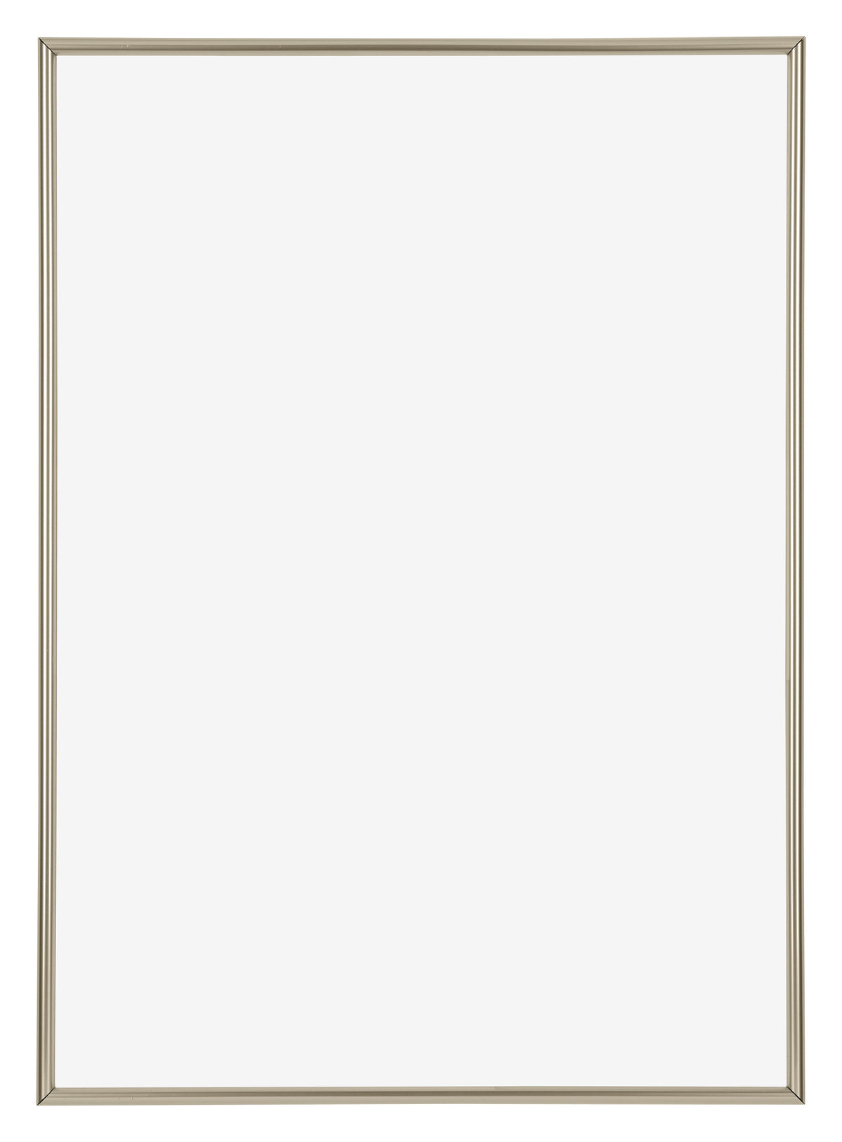 Annecy Plastic Photo Frame 29 7x42cm A3 Champagne Front | Yourdecoration.com