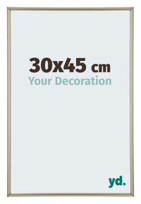 Annecy Plastic Photo Frame 30x45cm Champagne Front Size | Yourdecoration.com