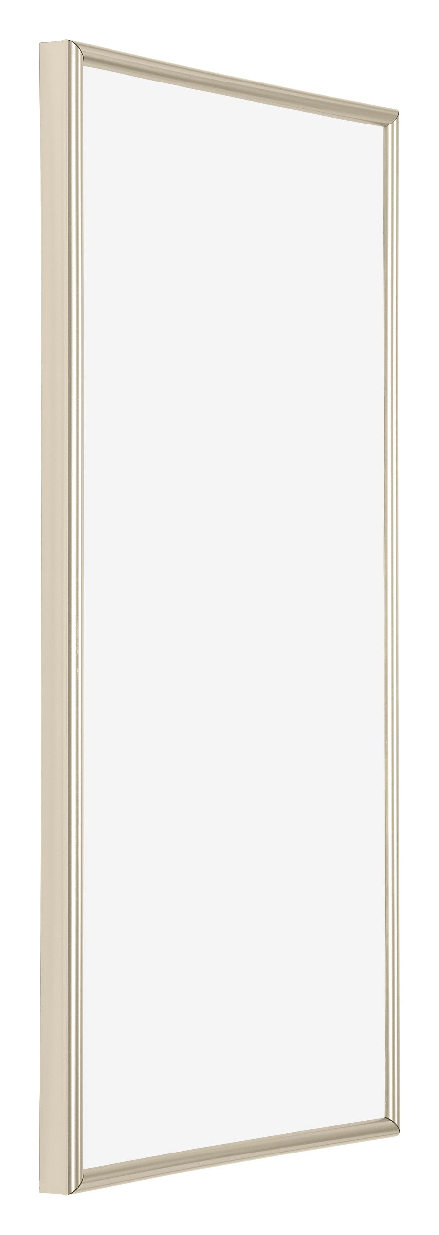 Annecy Plastic Photo Frame 30x60cm Champagne Front Oblique | Yourdecoration.com