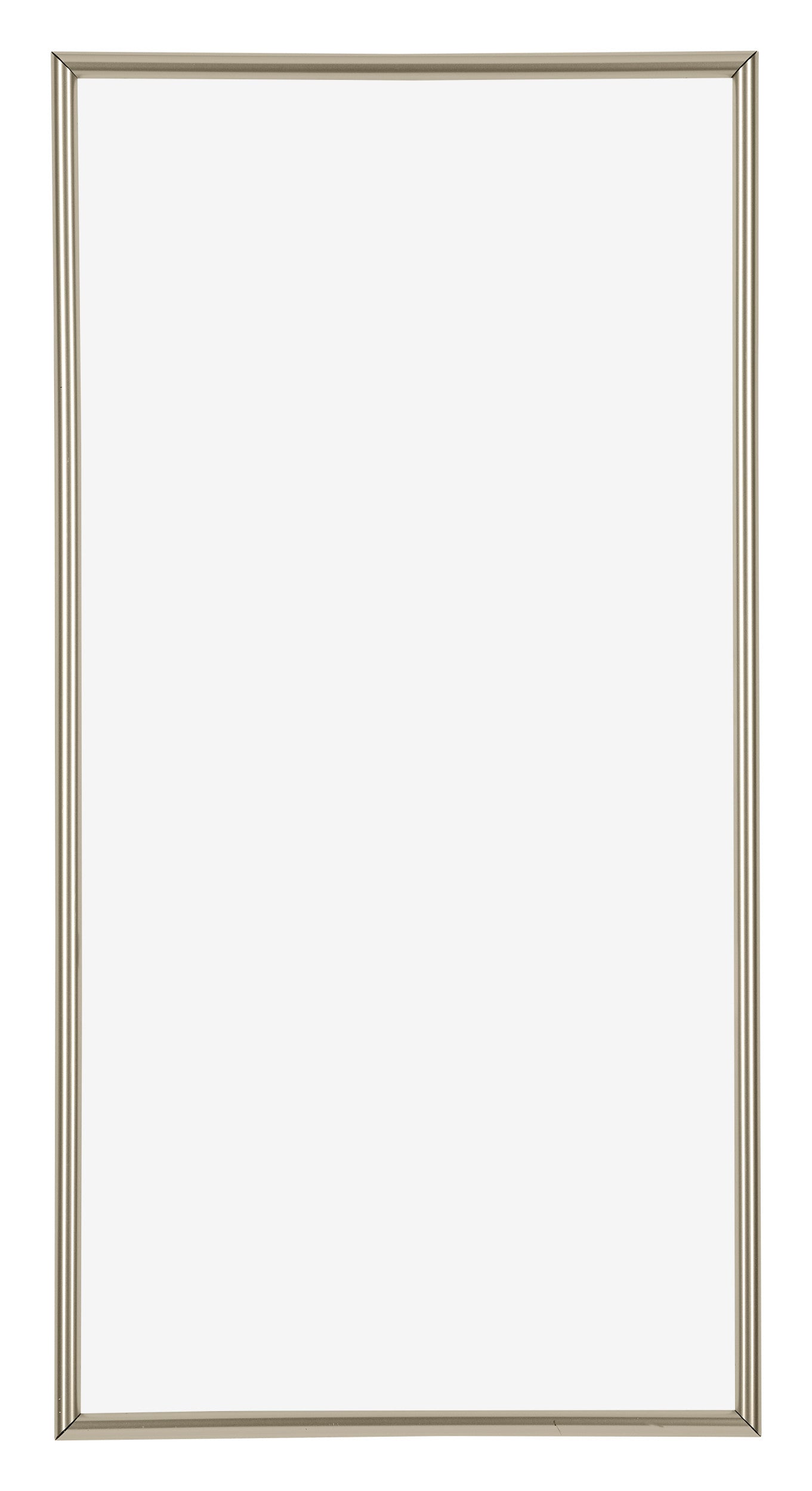 Annecy Plastic Photo Frame 30x60cm Champagne Front | Yourdecoration.com