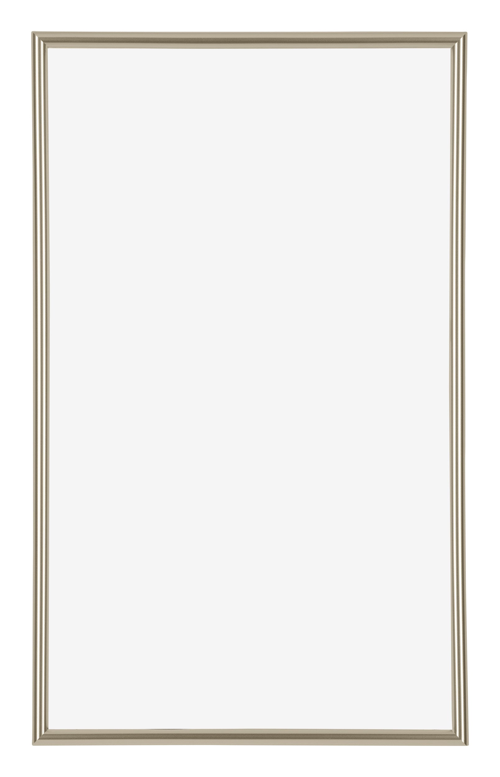 Annecy Plastic Photo Frame 33x48cm Champagne Front | Yourdecoration.com