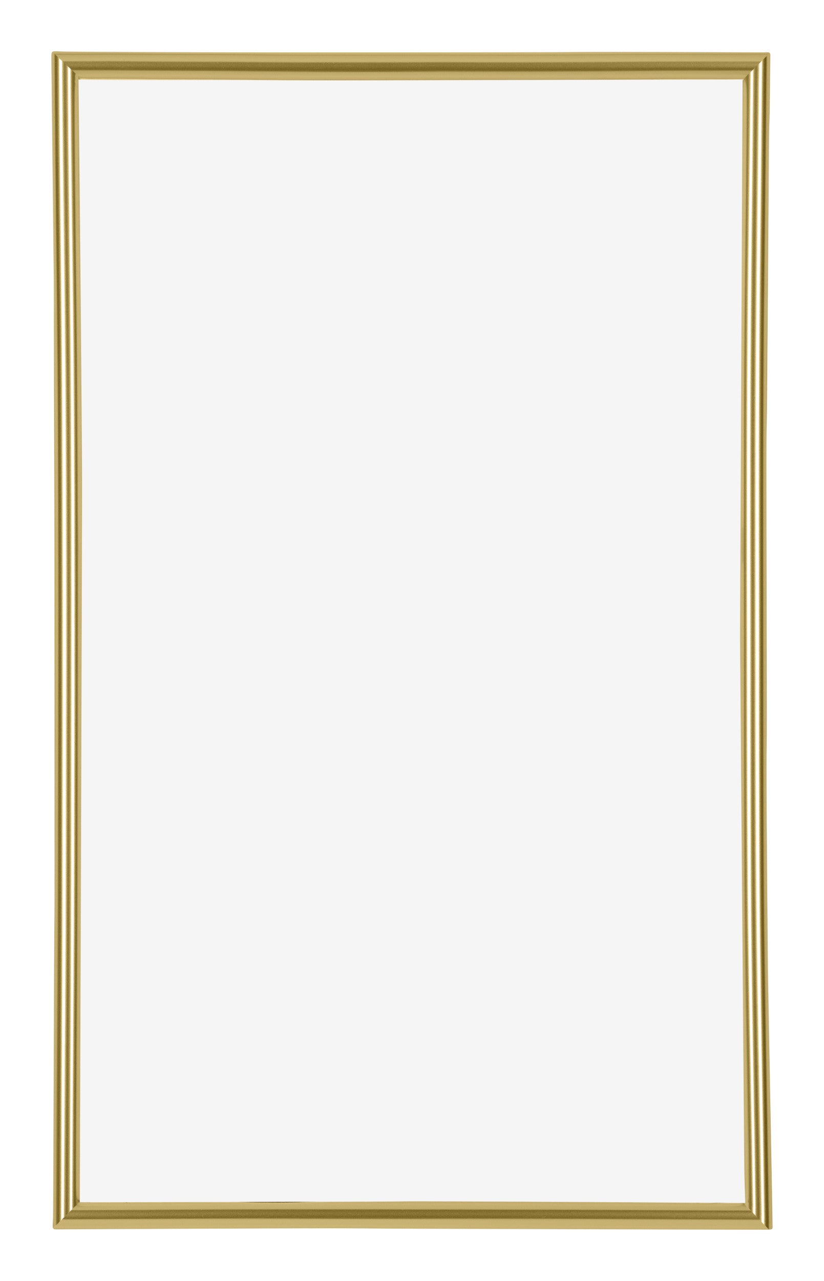 Annecy Plastic Photo Frame 33x48cm Gold Front | Yourdecoration.com