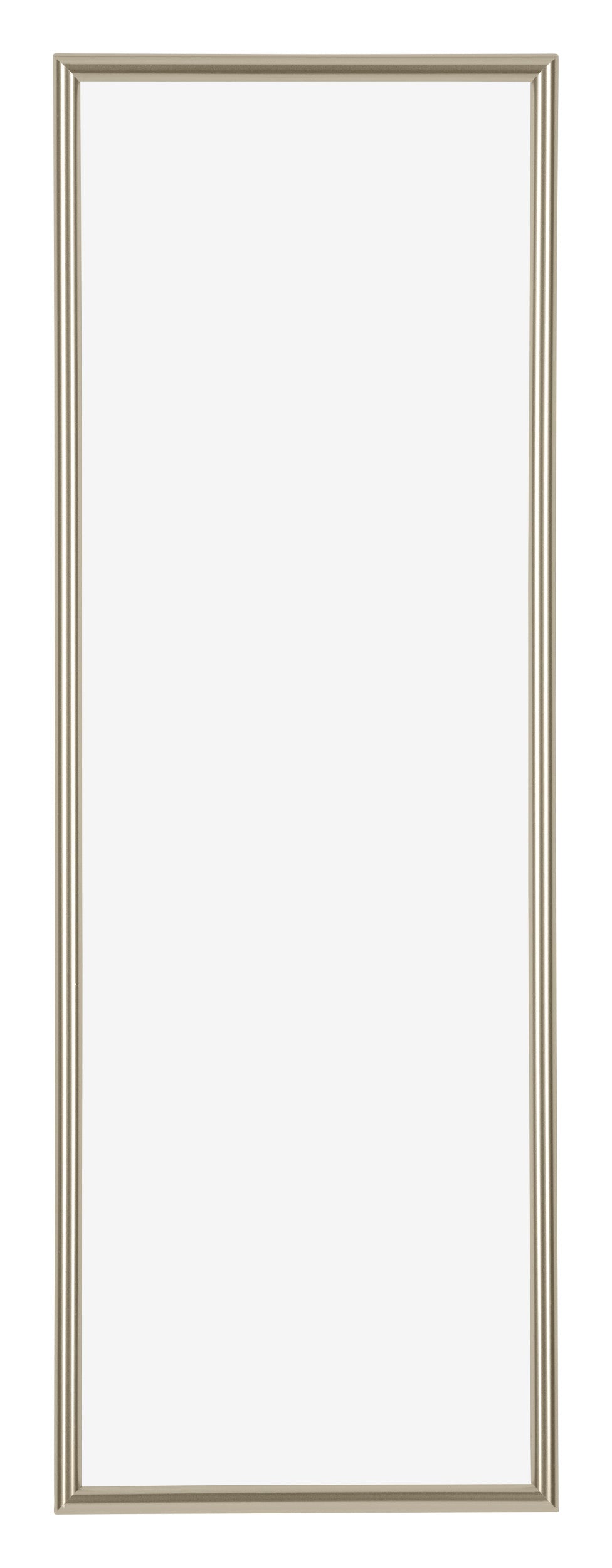 Annecy Plastic Photo Frame 33x98cm Champagne Front | Yourdecoration.com