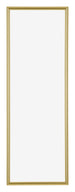 Annecy Plastic Photo Frame 33x98cm Gold Front | Yourdecoration.com