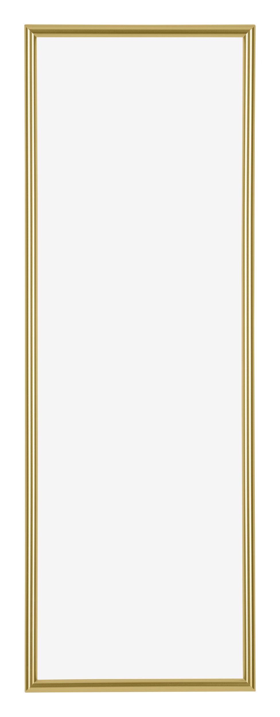 Annecy Plastic Photo Frame 37 5x98cm Gold Front | Yourdecoration.com