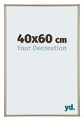 Annecy Plastic Photo Frame 40x60cm Champagne Front Size | Yourdecoration.com