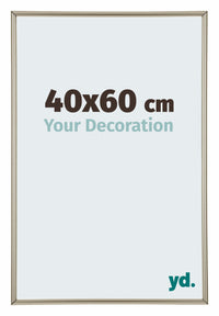 Annecy Plastic Photo Frame 40x60cm Champagne Front Size | Yourdecoration.com