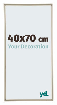 Annecy Plastic Photo Frame 40x70cm Champagne Front Size | Yourdecoration.com