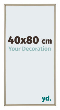 Annecy Plastic Photo Frame 40x80cm Champagne Front Size | Yourdecoration.com