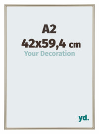 Annecy Plastic Photo Frame 42x59 4cm A2 Champagne Front Size | Yourdecoration.com