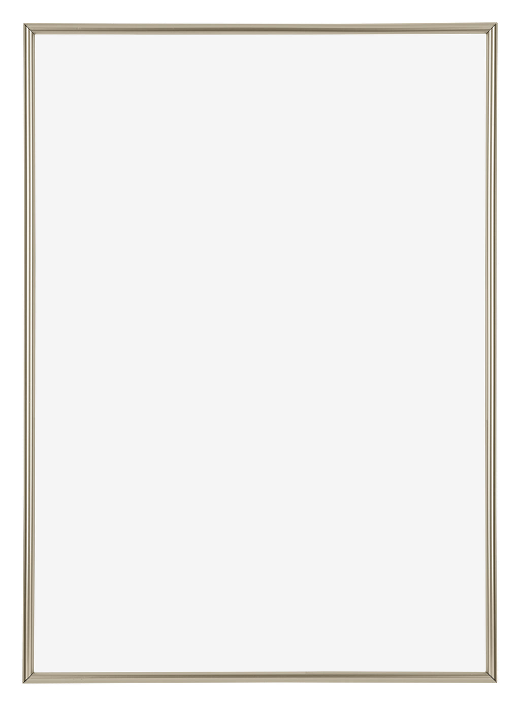 Annecy Plastic Photo Frame 42x60cm Champagne Front | Yourdecoration.com