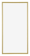 Annecy Plastic Photo Frame 45x80cm Gold Front | Yourdecoration.com
