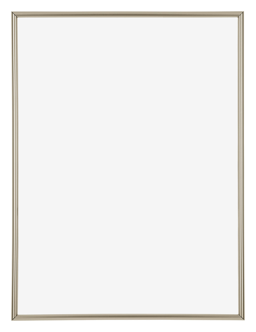 Annecy Plastic Photo Frame 48x64cm Champagne Front | Yourdecoration.com
