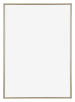 Annecy Plastic Photo Frame 48x67cm Champagne Front | Yourdecoration.com