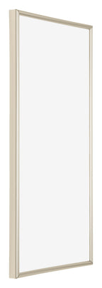 Annecy Plastic Photo Frame 50x100cm Champagne Front Oblique | Yourdecoration.com