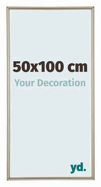 Annecy Plastic Photo Frame 50x100cm Champagne Front Size | Yourdecoration.com