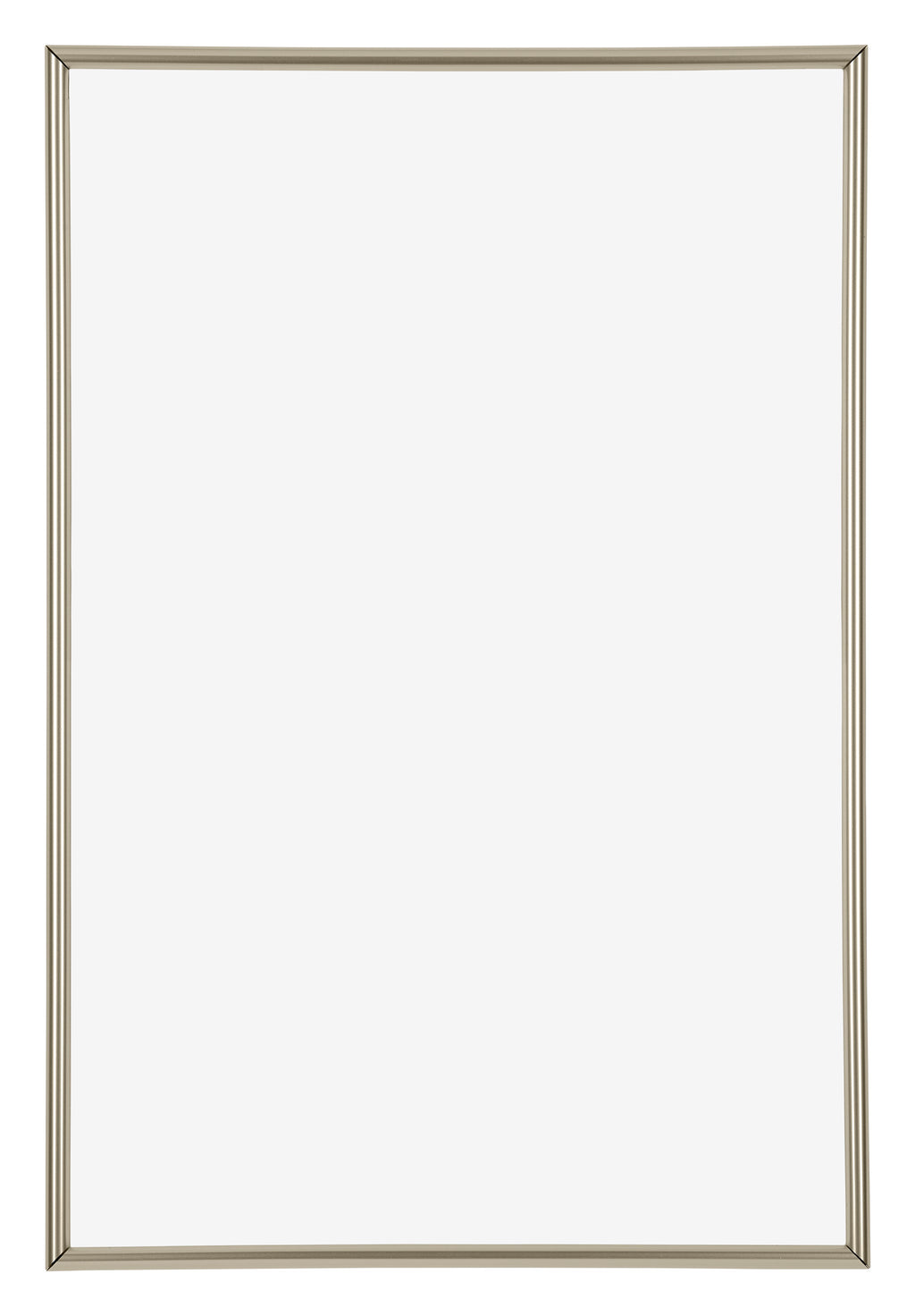 Annecy Plastic Photo Frame 50x75cm Champagne Front | Yourdecoration.com