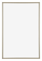 Annecy Plastic Photo Frame 50x75cm Champagne Front | Yourdecoration.com