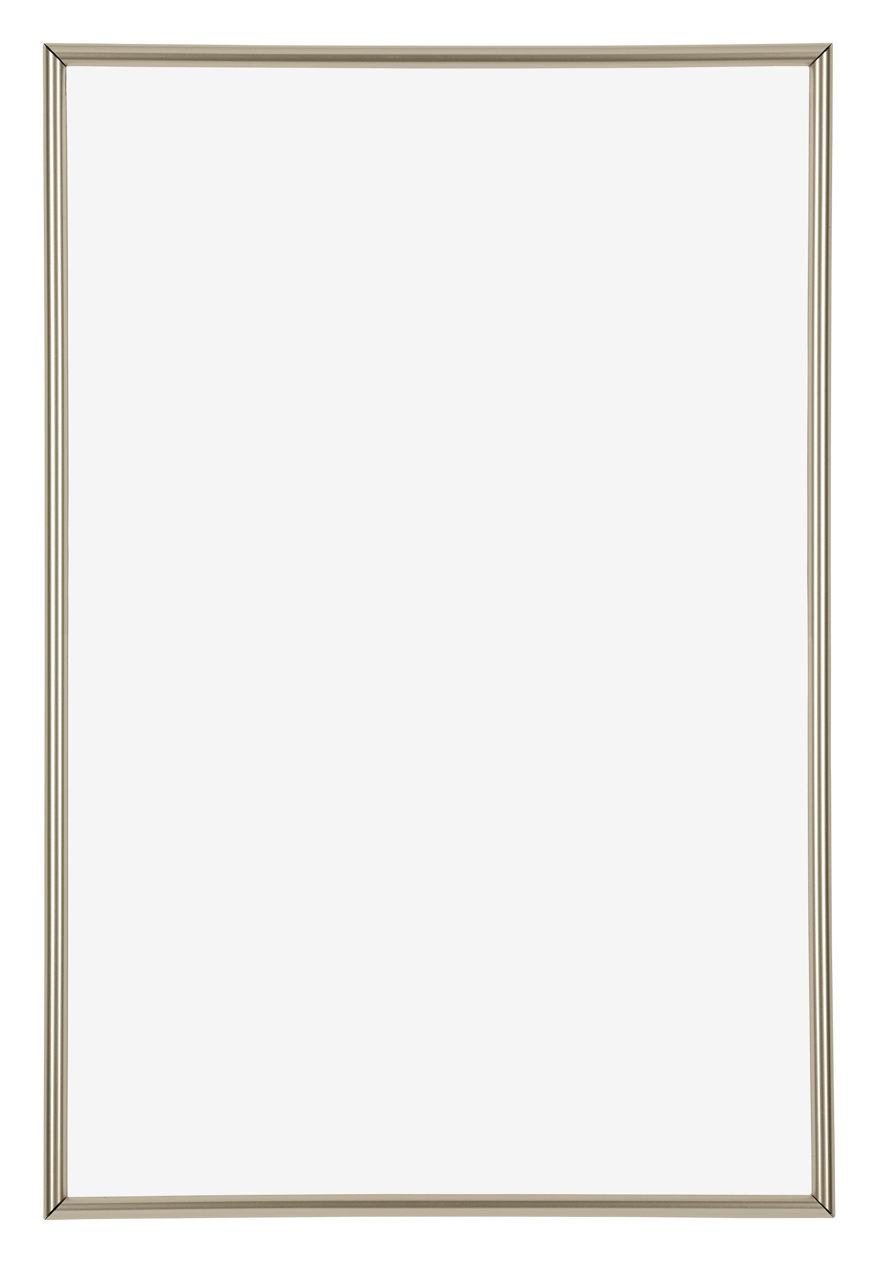 Annecy Plastic Photo Frame 50x75cm Champagne Front | Yourdecoration.com