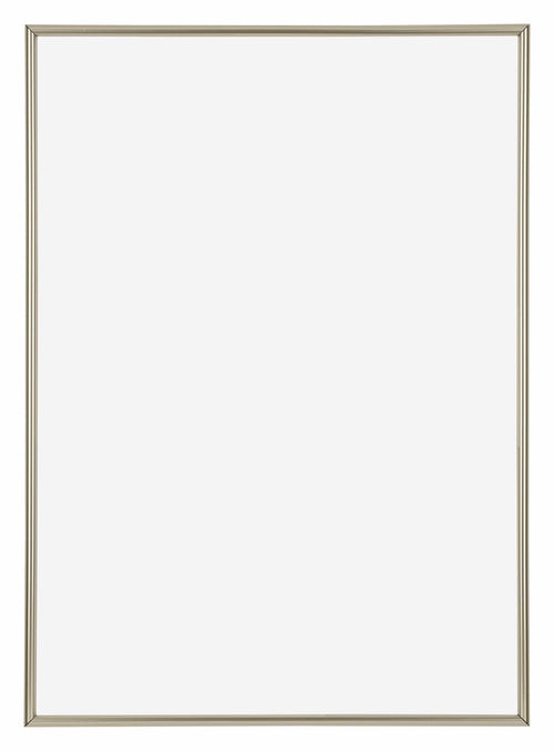 Annecy Plastic Photo Frame 59 4x84cm A1 Champagne Front | Yourdecoration.com