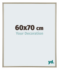 Annecy Plastic Photo Frame 60x70cm Champagne Front Size | Yourdecoration.com