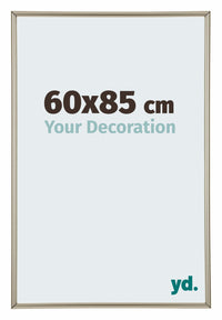 Annecy Plastic Photo Frame 60x85cm Champagne Front Size | Yourdecoration.com