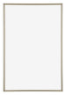 Annecy Plastic Photo Frame 60x85cm Champagne Front | Yourdecoration.com