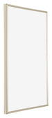Annecy Plastic Photo Frame 60x90cm Champagne Front Oblique | Yourdecoration.com