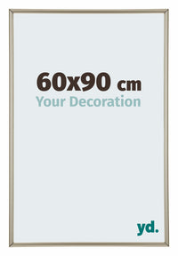 Annecy Plastic Photo Frame 60x90cm Champagne Front Size | Yourdecoration.com