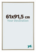 Annecy Plastic Photo Frame 61x91 5cm Champagne Front Size | Yourdecoration.com
