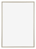 Annecy Plastic Photo Frame 68x98cm Champagne Front | Yourdecoration.com