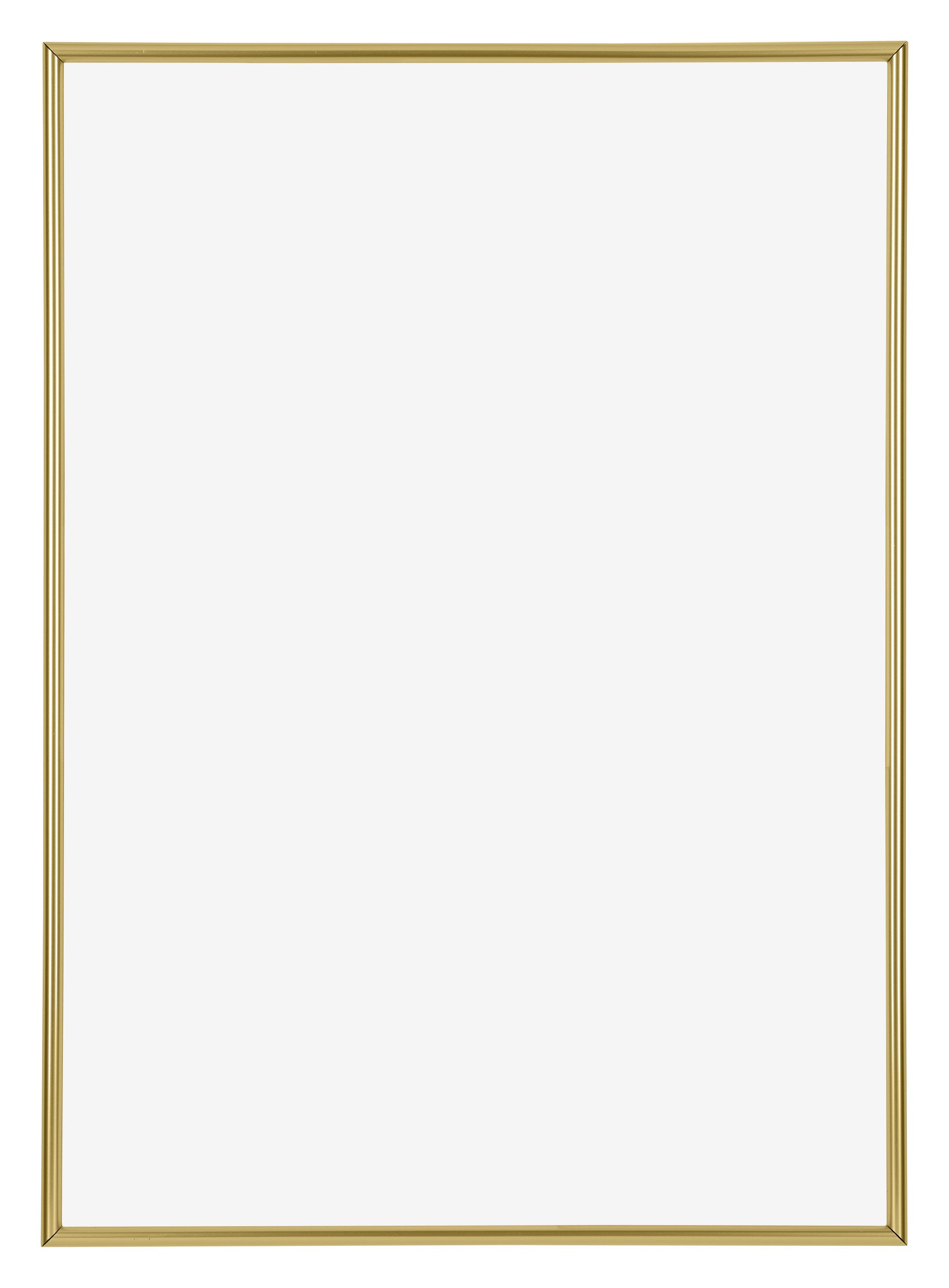 Annecy Plastic Photo Frame 68x98cm Gold Front | Yourdecoration.com