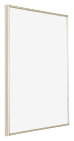 Annecy Plastic Photo Frame 70x90cm Champagne Front Oblique | Yourdecoration.com