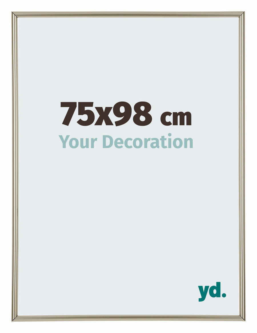Annecy Plastic Photo Frame 75x98cm Champagne Front Size | Yourdecoration.com