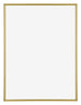 Annecy Plastic Photo Frame 75x98cm Gold Front | Yourdecoration.com