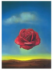 Art Print Salvador Dali Rose Meditative 60x80cm SD 883 | Yourdecoration.com
