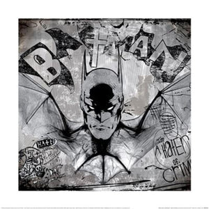 Art Print Wb100 Batman Hater Of Crime 40x40cm Pyramid PPR55139 | Yourdecoration.com