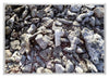 Aurora Aluminium Photo Frame 42x59 4cm A2 set of 3 Silver Front Photo Landscape | Yourdecoration.com